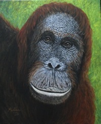 (L'Histoire de Pi) Orang-outan -
Acrylique sur isorel - 18” x 24" - 46 x 61 cm (L'Histoire de Pi) Orang-outan -
Acrylique sur isorel - 18” x 24" - 46 x 61 cm