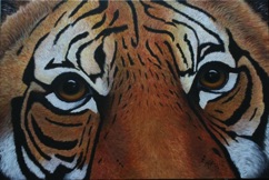 (L'Histoire de Pi) Richard Parker -
Acrylique sur toile tendue - 36” x 24" - 91 x 61 cm (L'Histoire de Pi) Richard Parker -
Acrylique sur toile tendue - 36” x 24" - 91 x 61 cm